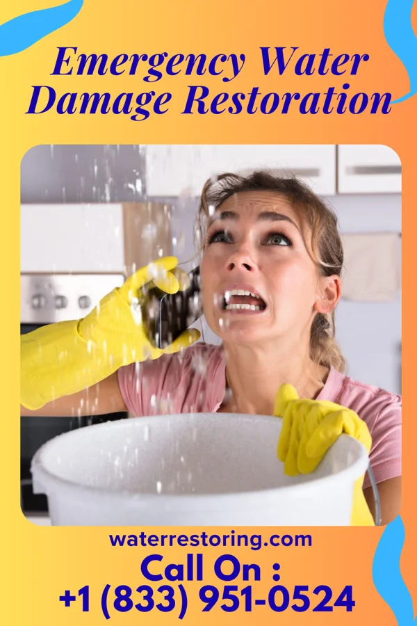 Emergency Water Damage Restoration in South Creek, WA